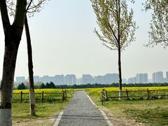 -汉长安城未央宫国家考古遗址公园