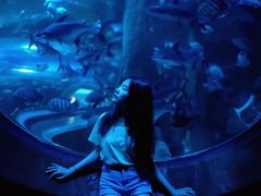 -成都浩海立方海洋公园