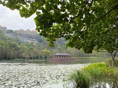 -顺峰山公园
