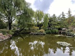 -秋霞圃