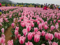 -狼牙山风景区