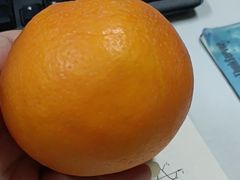-姐弟俩土豆粉(同城街华联店)