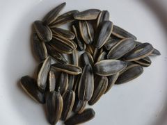 -老北京羊蝎子火锅(光荣道店)