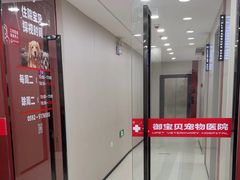 -御宝贝24h宠物医院·转诊中心·CT核磁血透中心(厦门总院)