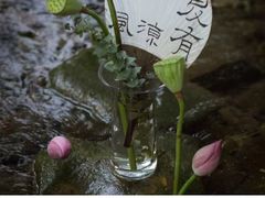 -宋宴(虎跑店)