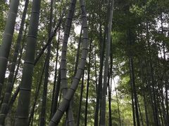 -天下银坑