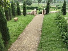 -龙坞茶村