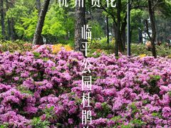 -临平公园(临平街道)