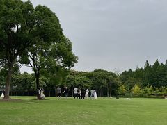 -上海滨江森林公园