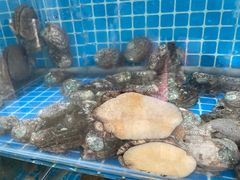 -宾朋海鲜美食餐厅·特色美食(兴海路店)