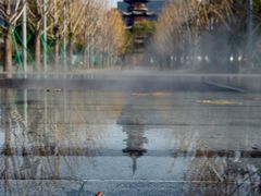 -龙华素斋(龙华路店)