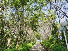 -深圳龙潭公园