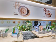 -炖物24章·顺时轻养茶(黄龙店)