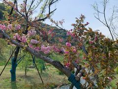 -南北湖风景区