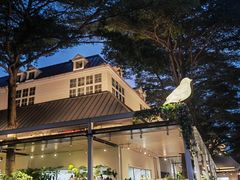 -花神·轻食简餐·咖啡馆·花卉绿植(荷兰花卉小镇店)