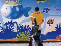 -太平洋海底世界博览馆·展览厅