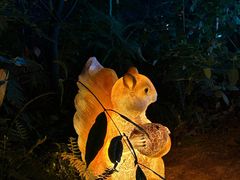 -南山植物园