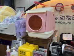 -宠爱国际动物医院·消化内科·心肾内科·ISFM猫友好(望京店)