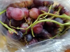 -百果园PAGODA(应元路店)