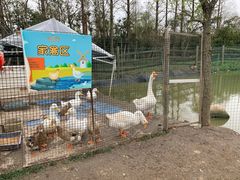 -上海长兴岛郊野公园