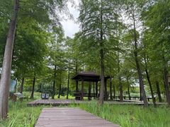 -梁鸿国家湿地公园