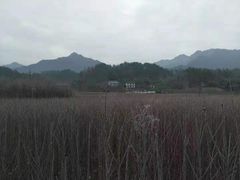 -秦岭风景区