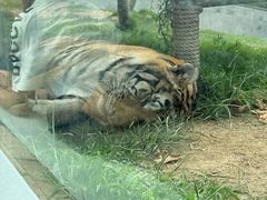 -西霞口神雕山野生动物世界