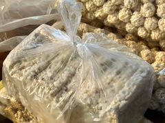 -利济北路(地铁站)