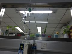 -北京观赏动物医院·24小时大型综合·猫专科·异宠专科