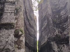 -梭布垭石林景区