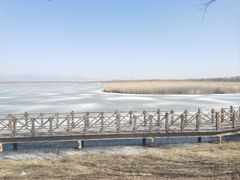 -野鸭湖国家湿地公园