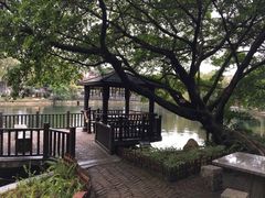 -东莞市可园博物馆