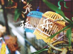 -中环花鸟鱼虫市场