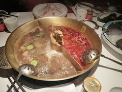 -小龙翻大江文化火锅(宽窄店)