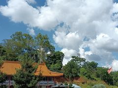 -南宁良凤江国家森林公园