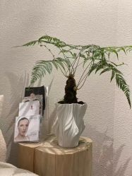 -唯奈斯肌肤管理中心