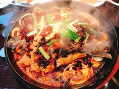 -老板恋上鱼(恒隆广场店)