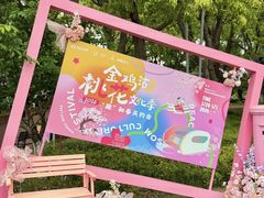-金鸡湖桃花岛