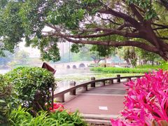 -荔湾湖公园