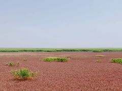 -红海滩国家风景廊道