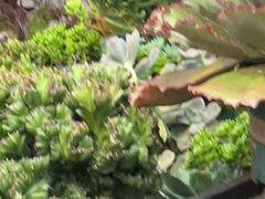 -老姐石板烧烤+铜炭火锅(总店)