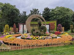 -上海共青森林公园