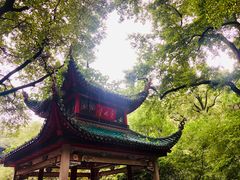 -杨裕兴(岳麓山店)