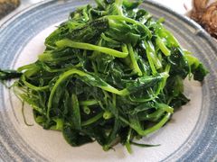 清炒豌豆尖-后海16号·北京私房菜