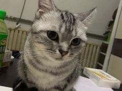 -乖乖乐动物医院(小汤山分院)