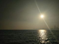 -宝安西湾红树林湿地公园