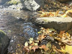 -香炉山国家森林公园