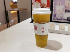 -树夏(金楠天街店)