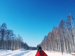-北极村旅游风景区