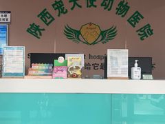 -天使宠物医院·犬猫分诊(彩虹店)